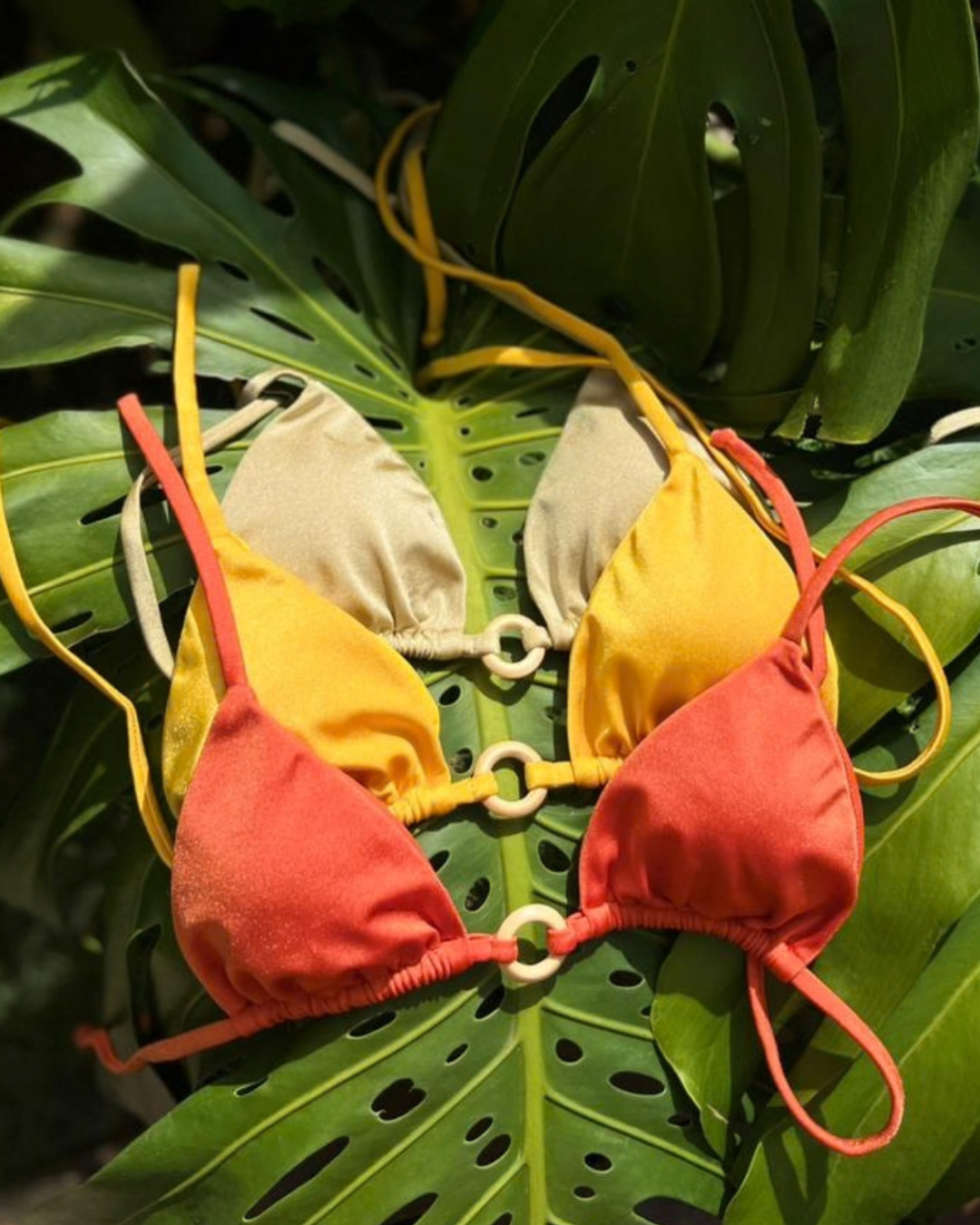 Conjunto Solar - Maracujá