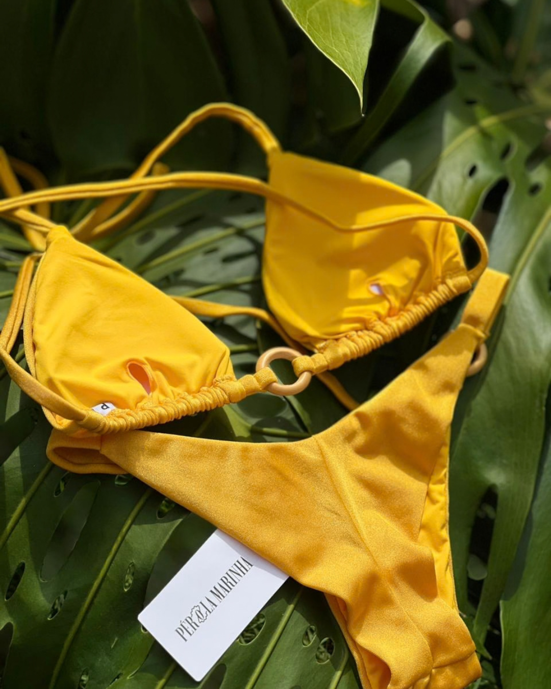 Conjunto Solar - Maracujá