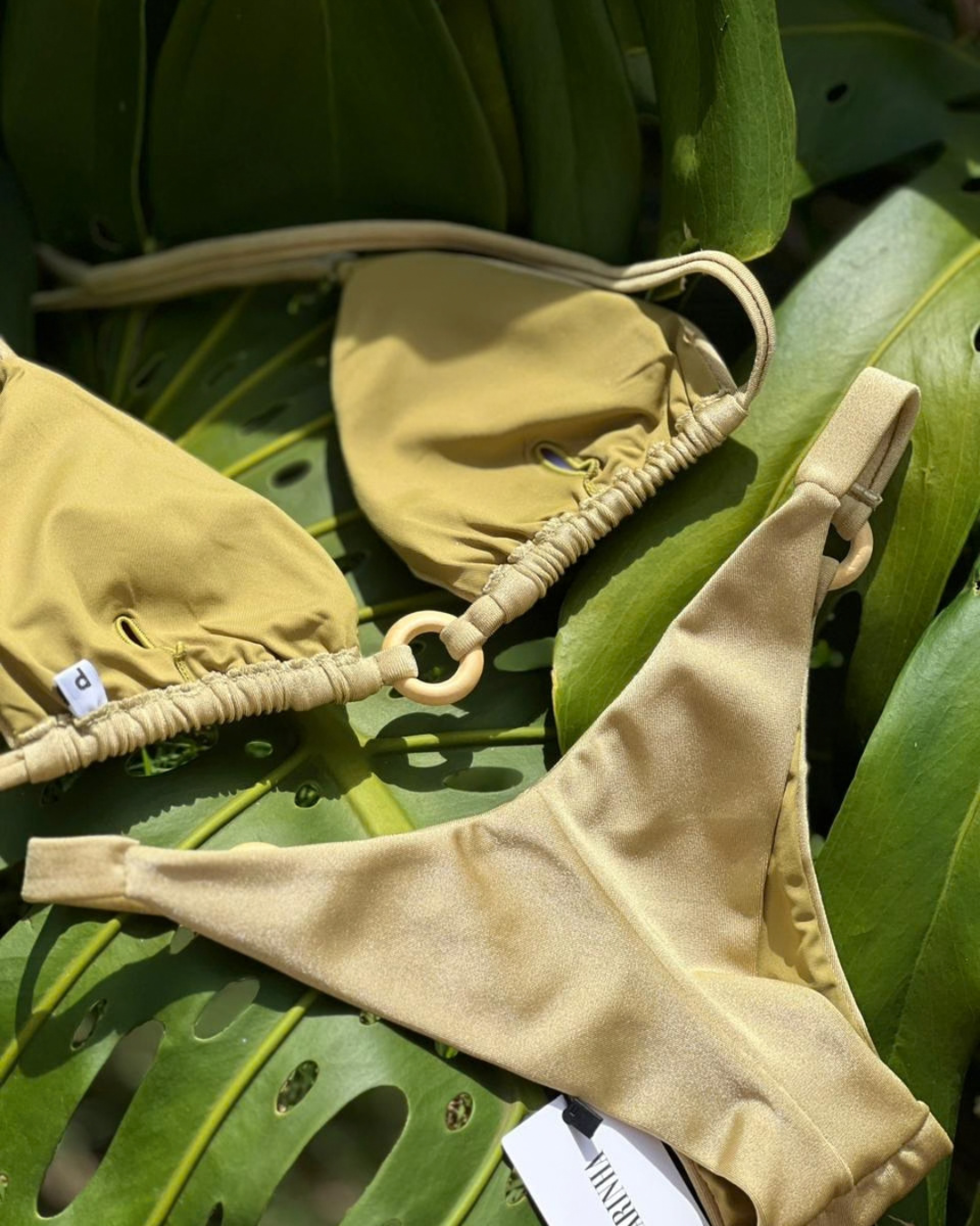 Conjunto Solar - Cambuci