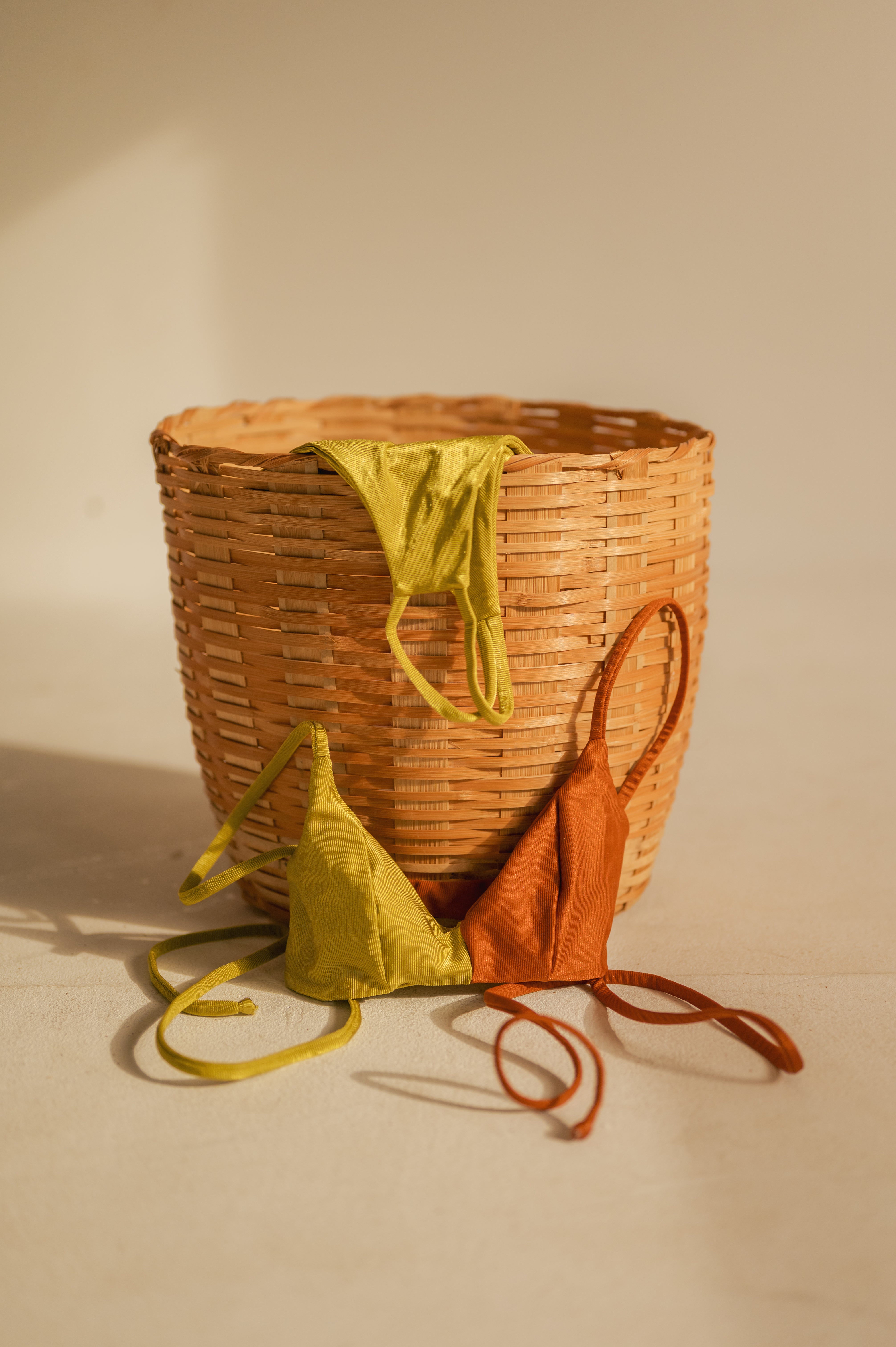 Conjunto Bicolor